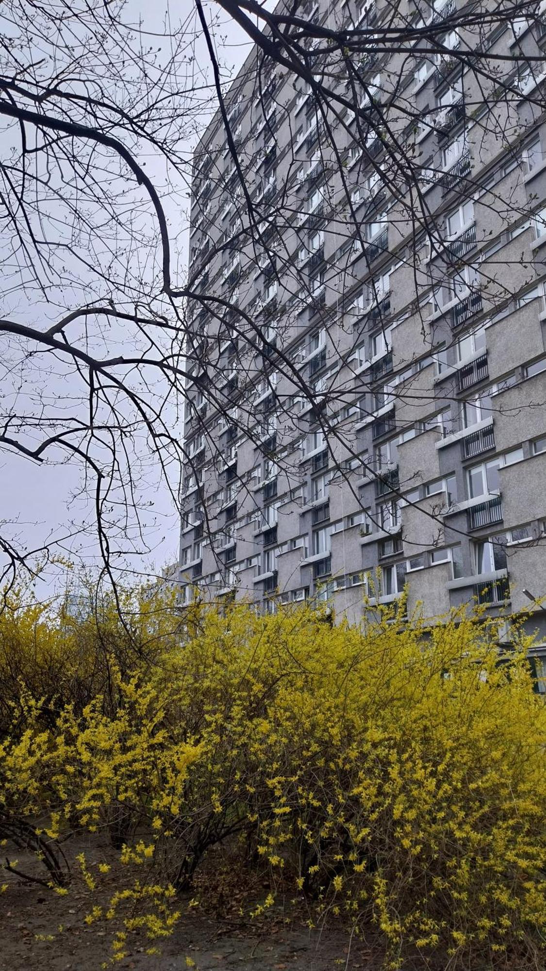 Apartment Centrum Slowapart Warsaw